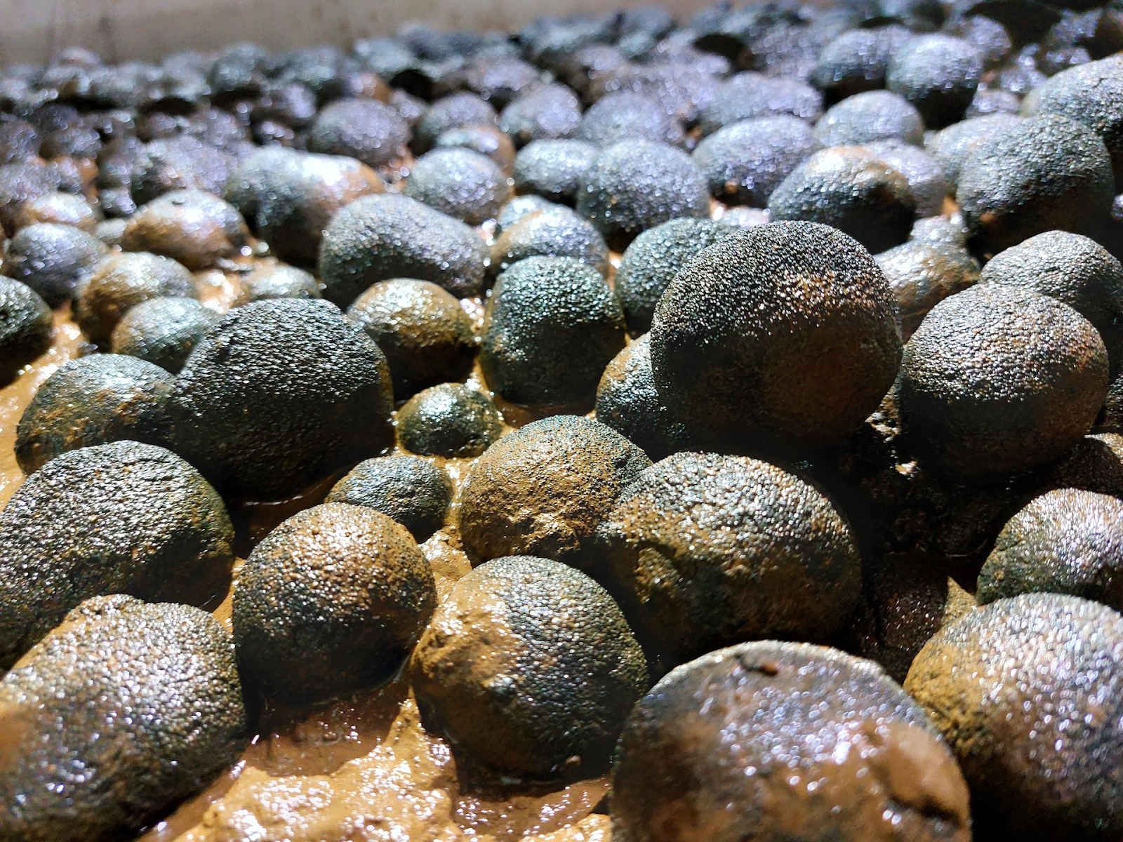 The free stock picks nobody’s talking about