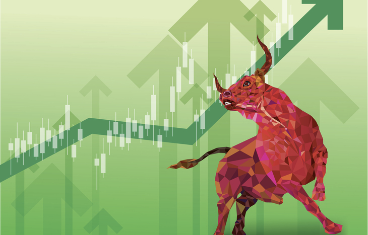 The Bullish Case for BSEM May Be Bigger Than Many Realize!